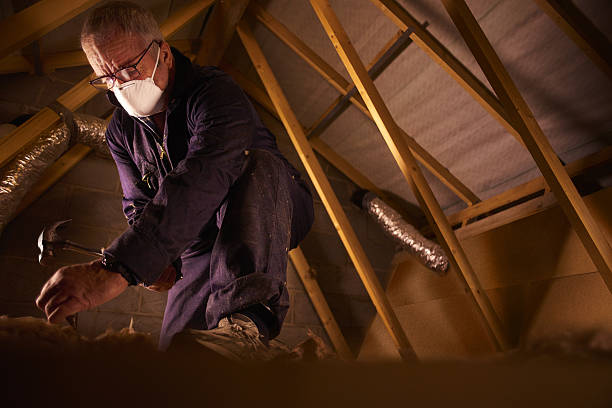 Best Insulation Repair Services  in St Clair Shores, MI